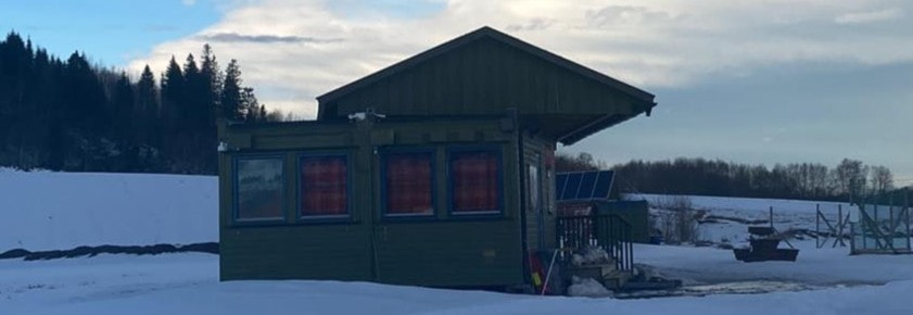 Dugnad (Sette taket på plass)